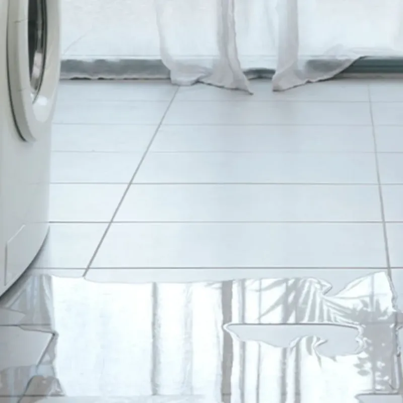 Appliance Leak Cleanup in Hudson, FL