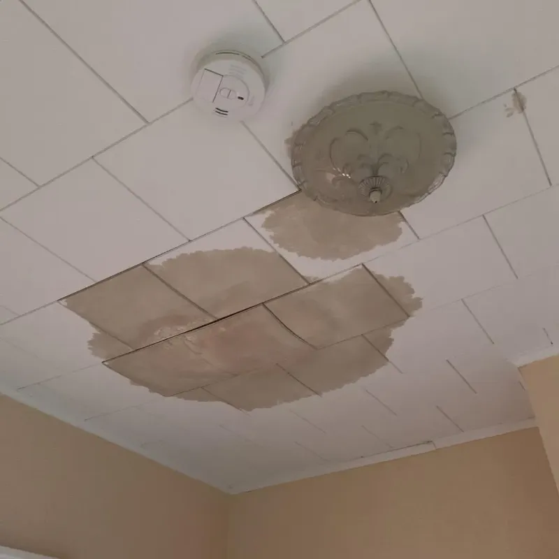 Ceiling Water Damage Repair in Hudson, FL